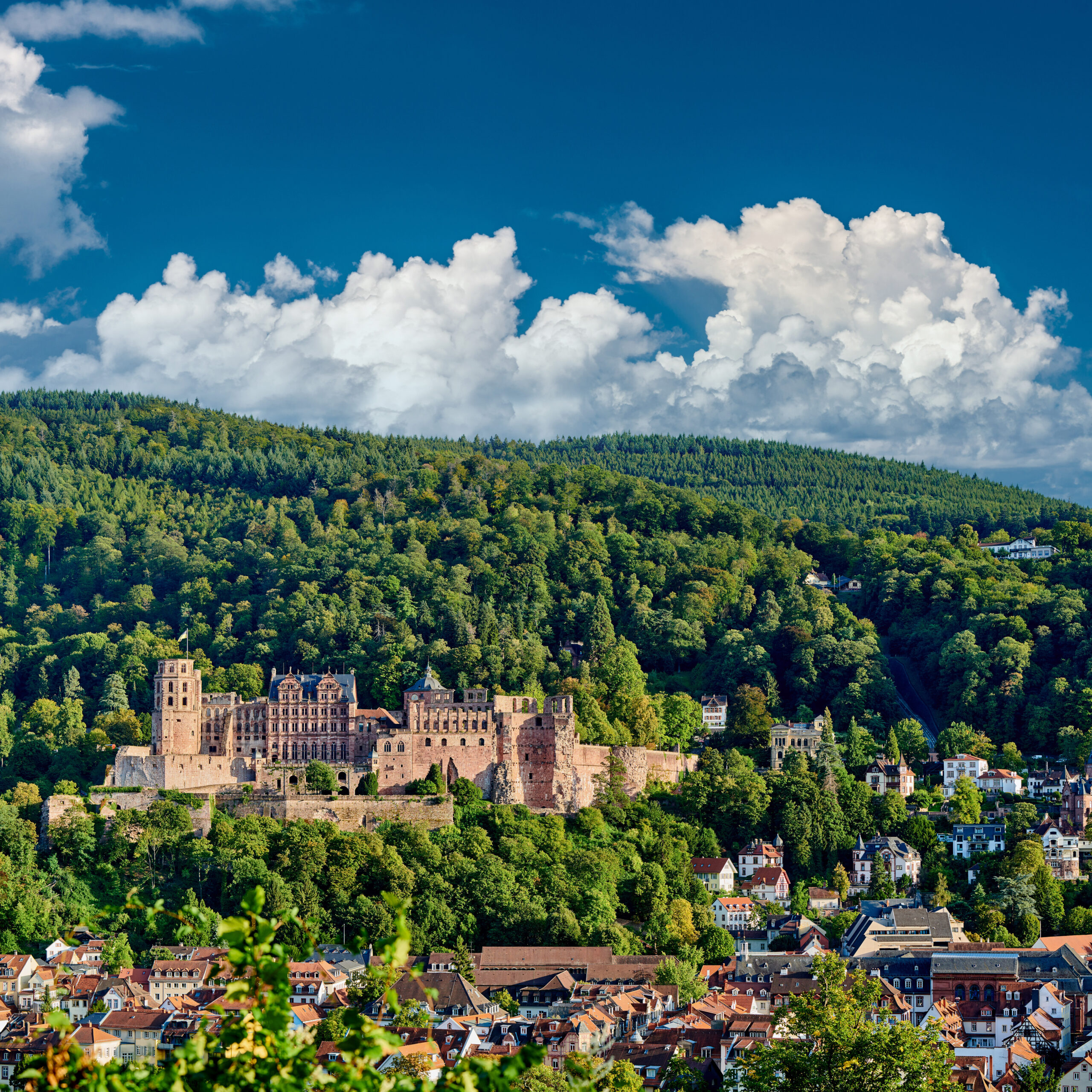 Unternehmensermittlungen und Business Intelligence in Heidelberg.